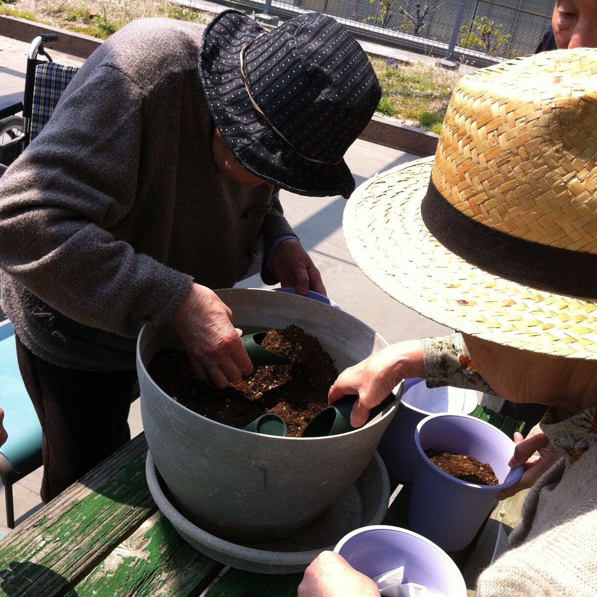 オンラインで園芸療法士に！認定園芸療法士が教えます 植物で人を癒す園芸療法を1回90分、5回で！修了証発行します イメージ3
