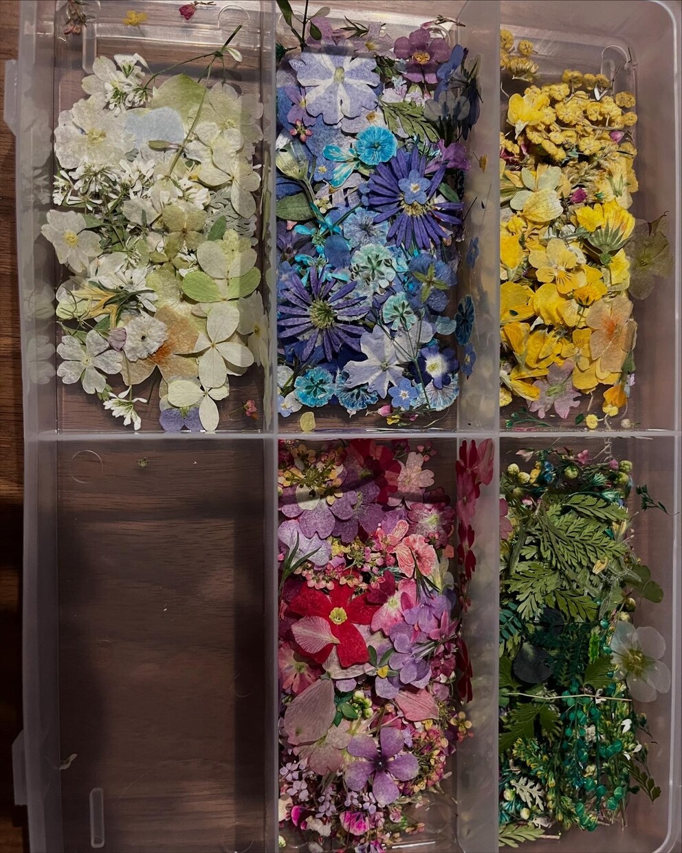 本物の押花使用！手形足形をフラワーアートで作ります 形どりは不要！写真されあればok✦ฺ イメージ5