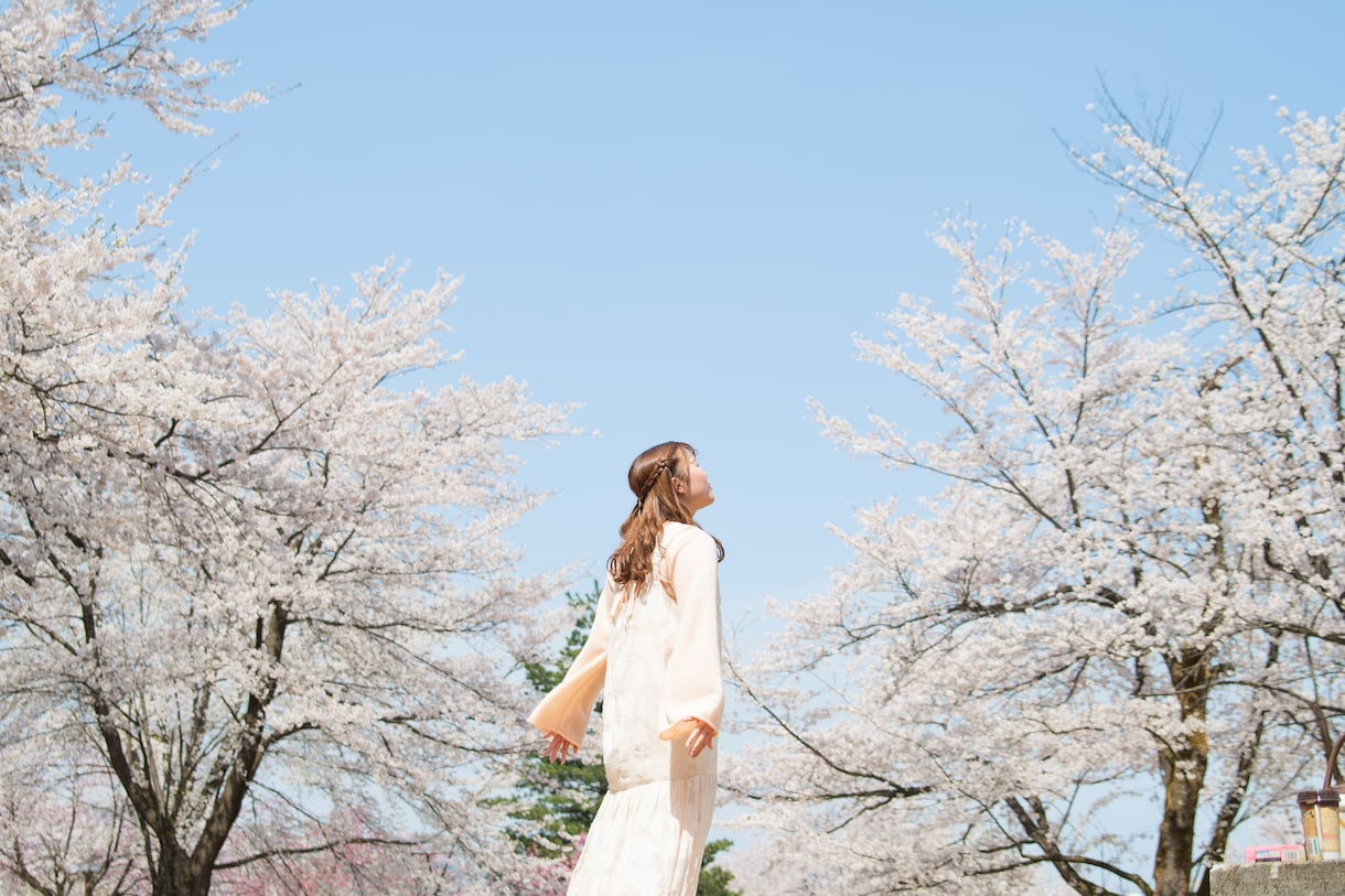 プロフィール写真の撮影を承ります 今よりもっと美しい自分を見つける。 イメージ1
