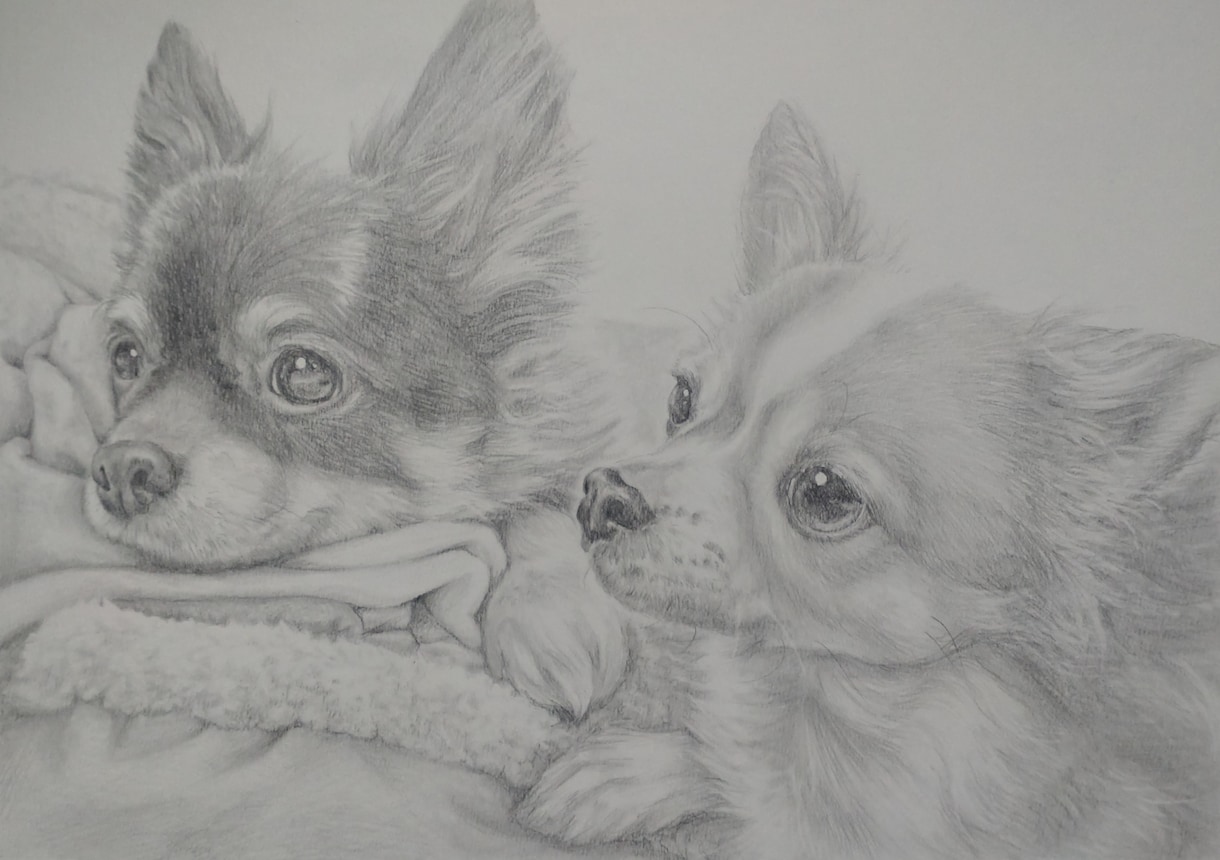 ペットの似顔絵を鉛筆で描きます 大好きなペットとの思い出を鉛筆画にしてみませんか？ イメージ4