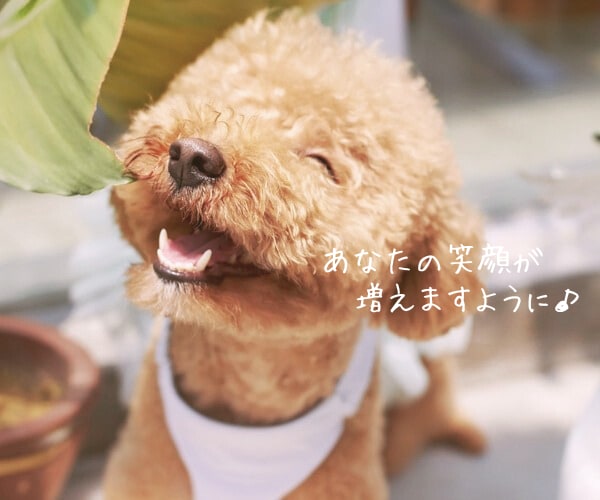 HSPさんの生きづらいその気持ち 私がお聴きします もうすぐ40歳のHSP主婦とぜひお話ししましょう♪ イメージ9