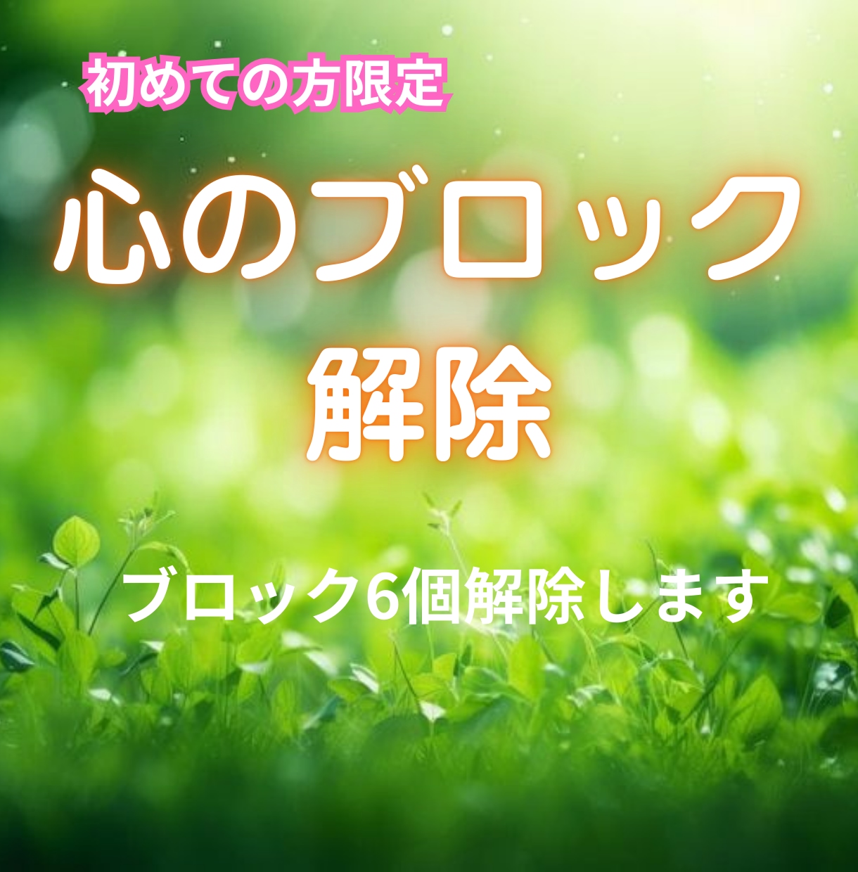 初回限り!　心のブロックを６つ解除します 初めての方限定　心のブロックを6つ解除します イメージ1