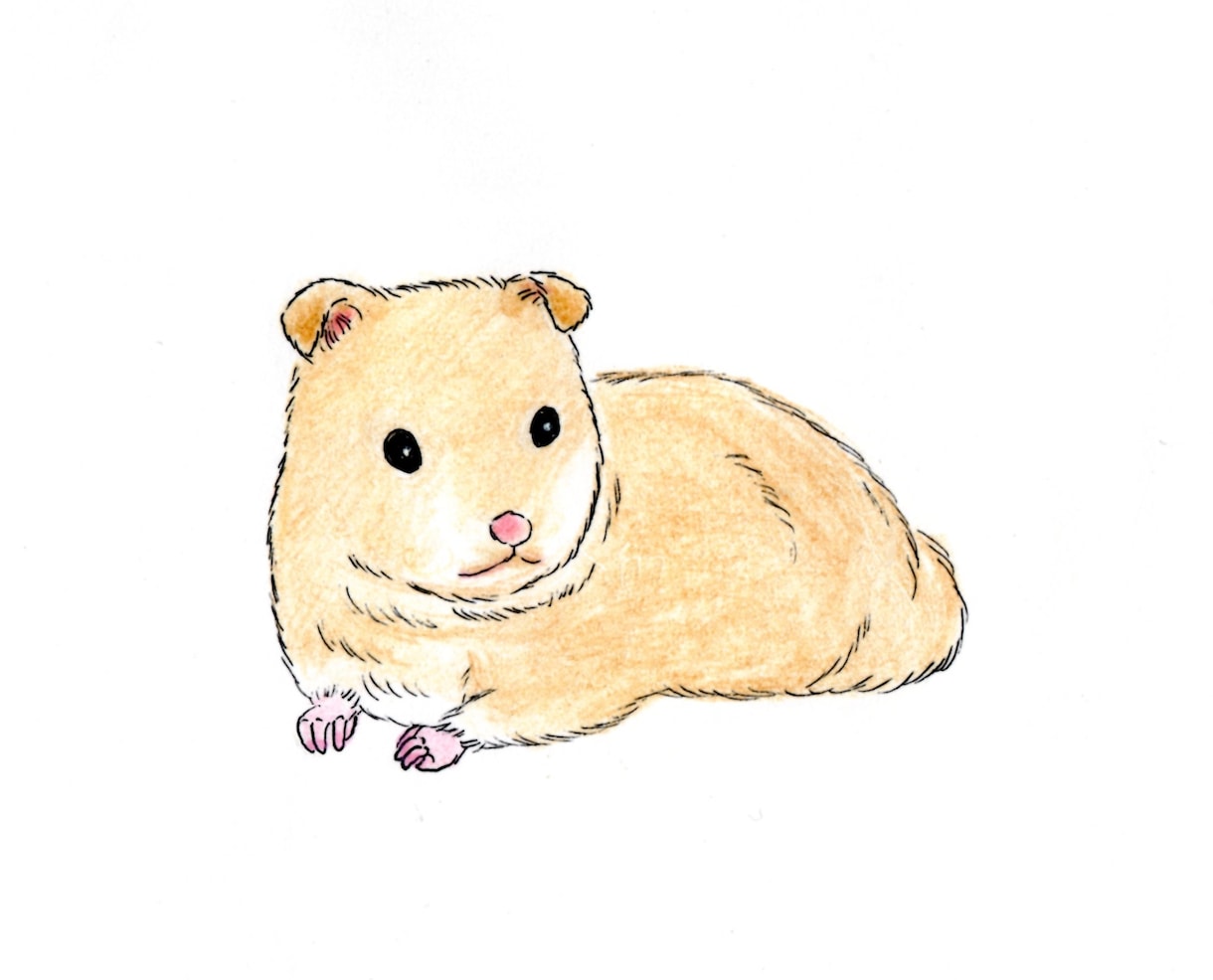 ペットの絵を描きます わんちゃんねこちゃんなどご家族の一員を可愛い絵にします イメージ10