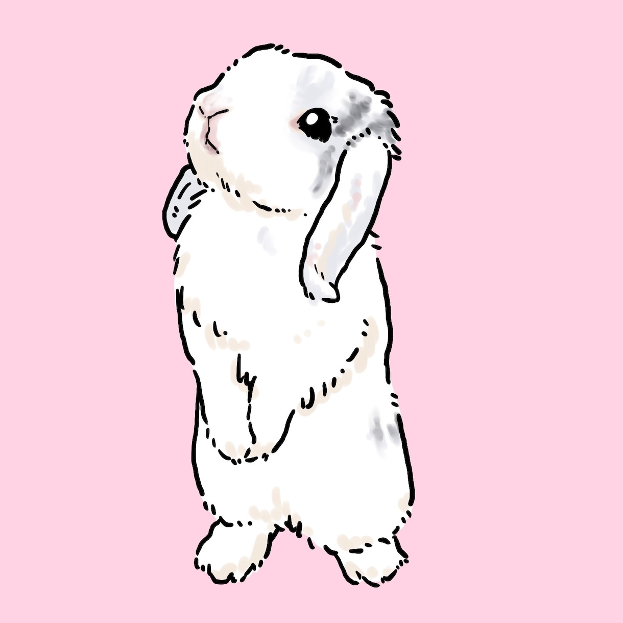 大好きな家族を♡愛うさぎさんのイラスト描きます うさ飼いさんのためのリアルでかわいいそっくり似顔絵です イメージ5