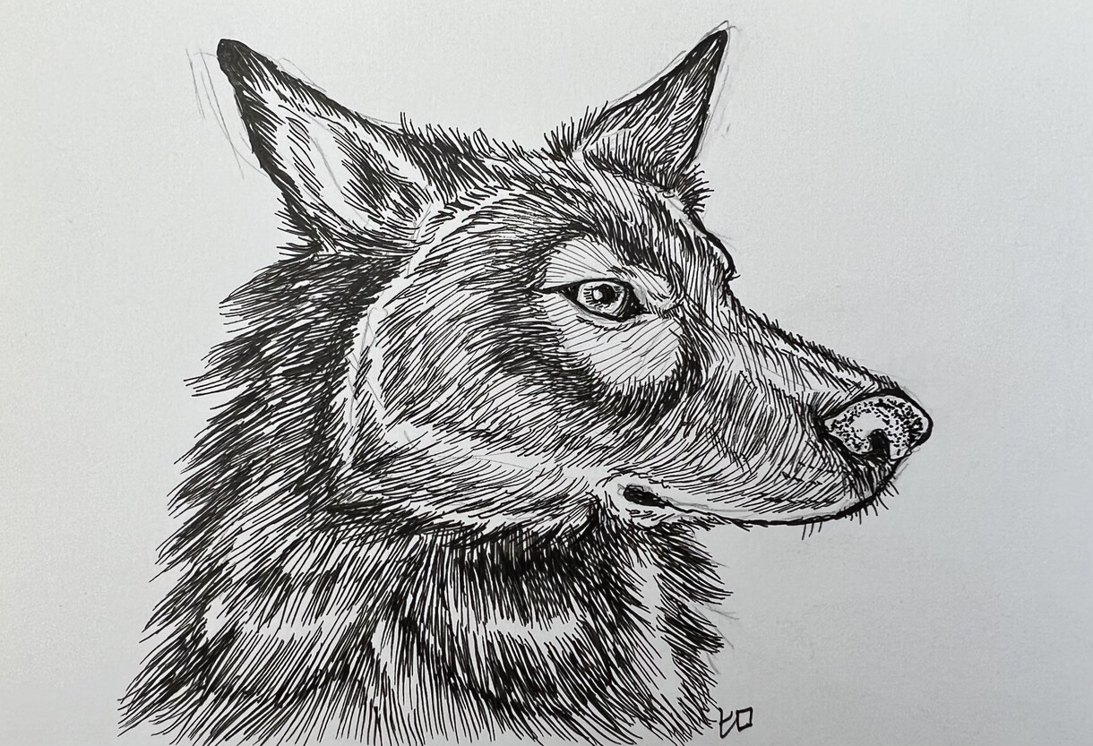 モノクロペンで描く、犬専門の似顔絵描きます 大切なご家族をペン画で一枚一枚、心を込めて手描きします。 イメージ2