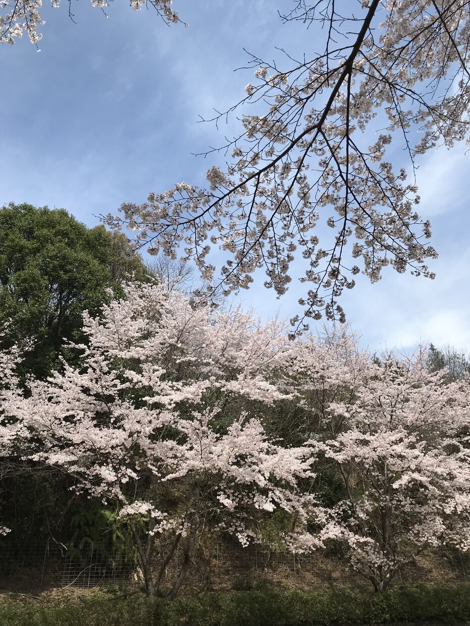 相談を受ける事への苦手意識脱却します 人からの相談は自分の魅力を再発見する機会 イメージ4