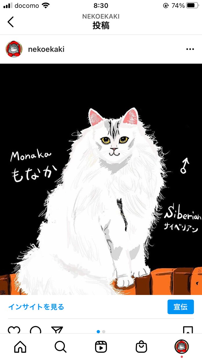 みなさんの猫ちゃんをお洒落なイラストにします 他には無いスタイリッシュで可愛らしいイラストに仕上げます✨ イメージ3