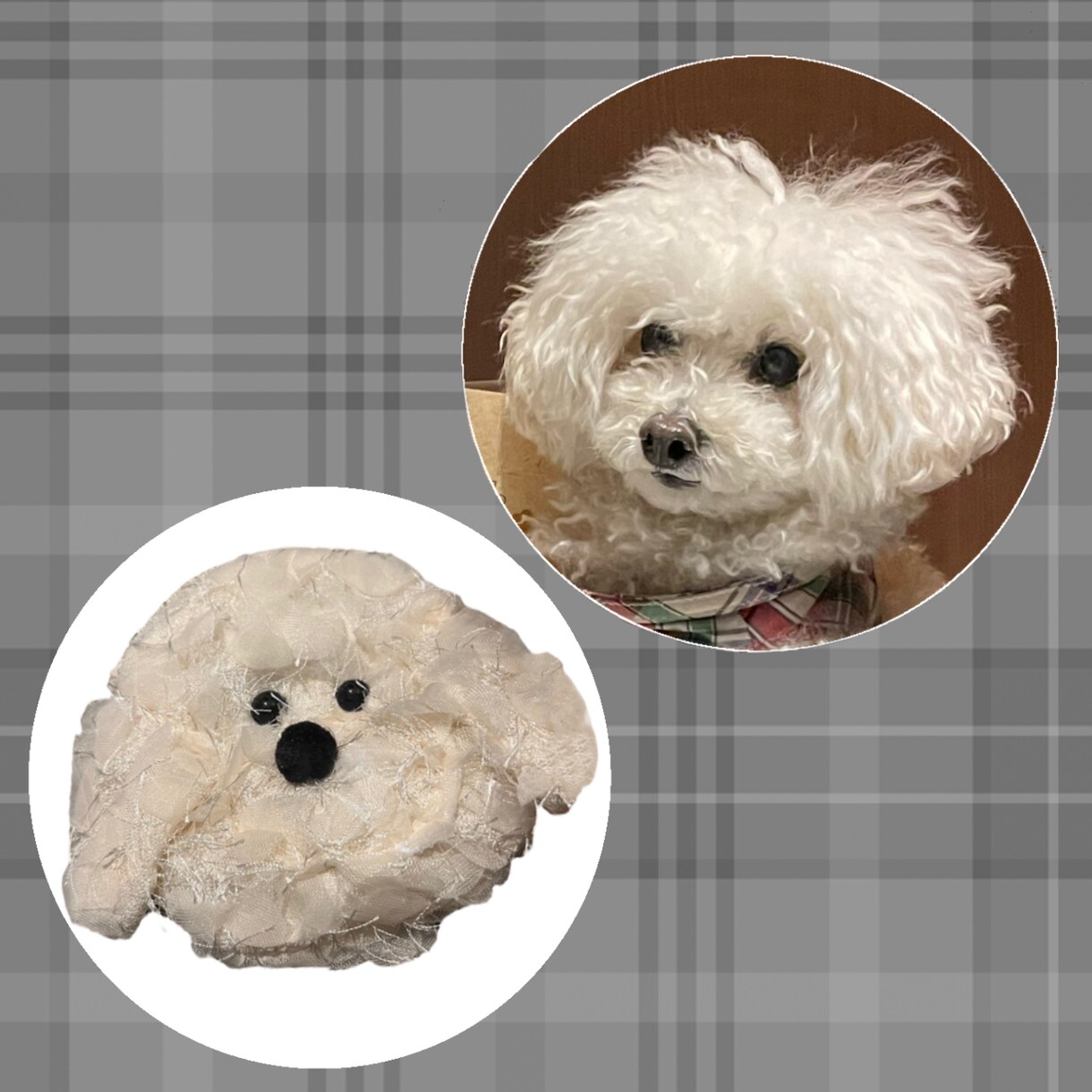 愛犬ポーチ作ります 世界にひとつだけ！貴方だけの愛犬グッズ！ イメージ8
