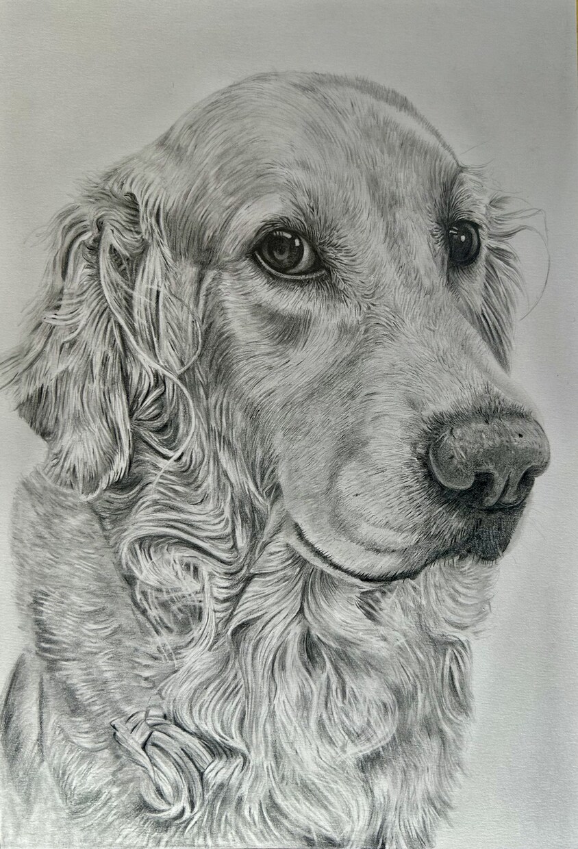 鉛筆画でペットのリアル似顔絵を手描きで作成致します 犬・猫を鉛筆で細部まで丁寧に描きます！ イメージ4