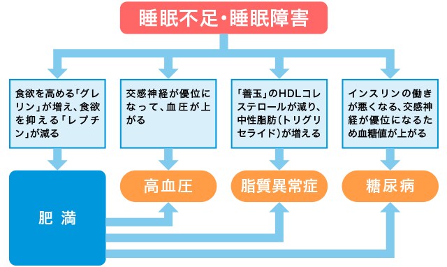 睡眠を語れる資格を認定します 3時間で心と体の健康の土台である睡眠の質を上げる専門家に！ イメージ4