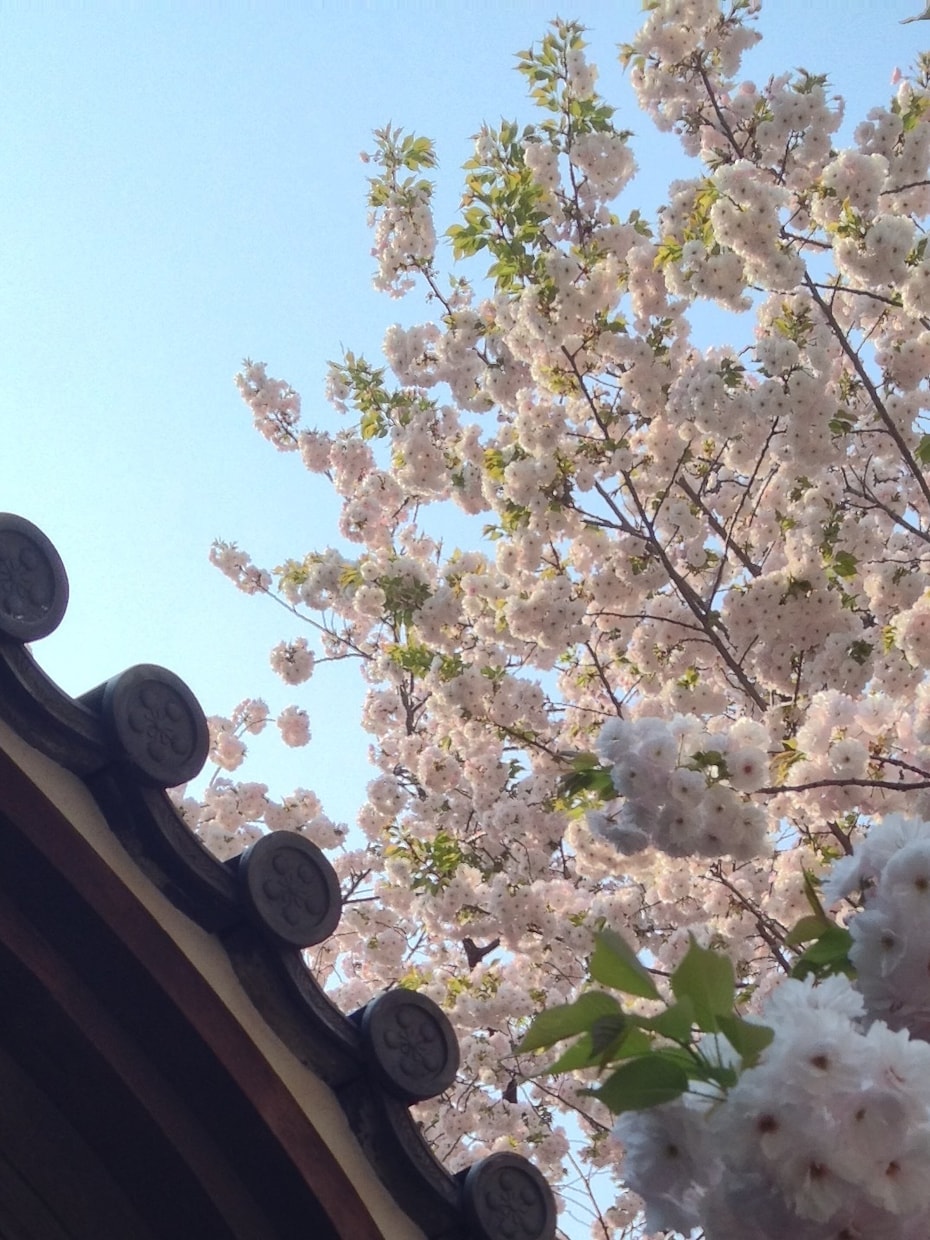 元東大生がキャンパス案内しながらドラゴン桜します 受験の不安と戦う地方学生さん、自信とやる気をチャージします！ イメージ2