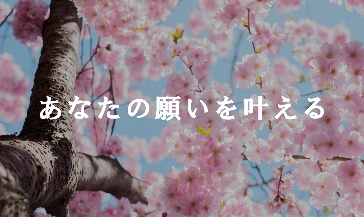 あなたの願いを叶える方法教えますます 人生一からやり直しはまだ遅くない。 イメージ1