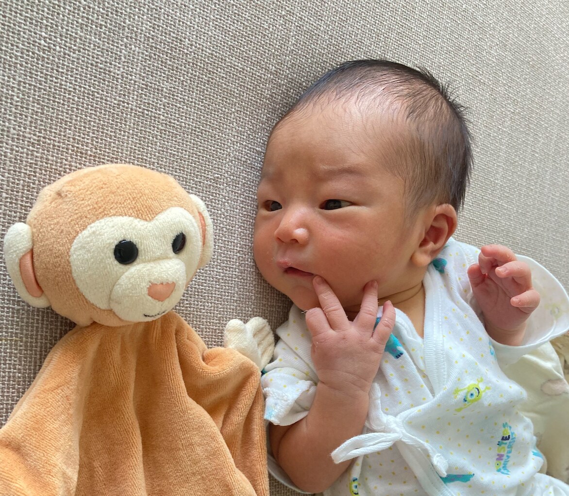 シンガポール★ローカル病院での出産経験お話しします 臨月間近にシンガポール引っ越しから出産までの道のり イメージ1