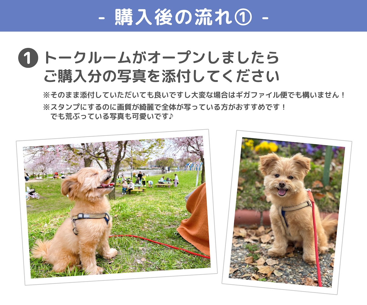大好きな家族の写真をLINEスタンプにします 家族との思い出の一枚を日常の会話に入れませんか？ イメージ7