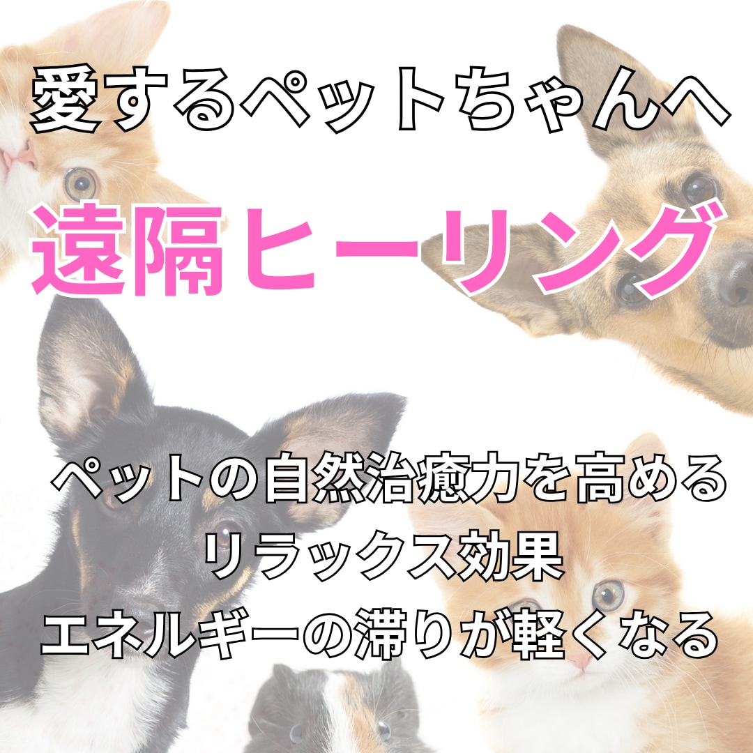 大切なペットにエネルギーから整えるヒーリングします 大切な家族であるペットに 見えない領域からのエネルギーケアを イメージ1
