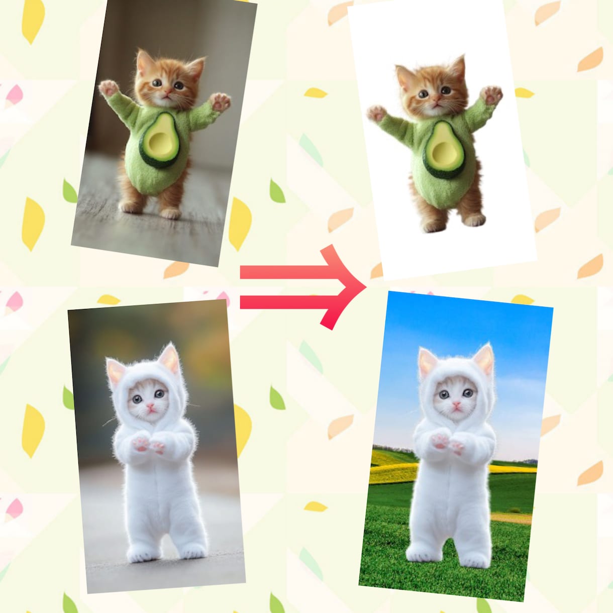 画像/写真の白抜き・切り抜き爆速で仕上げます お届け日数 1日（予定）　 ファイル形式 JPG / PNG イメージ1