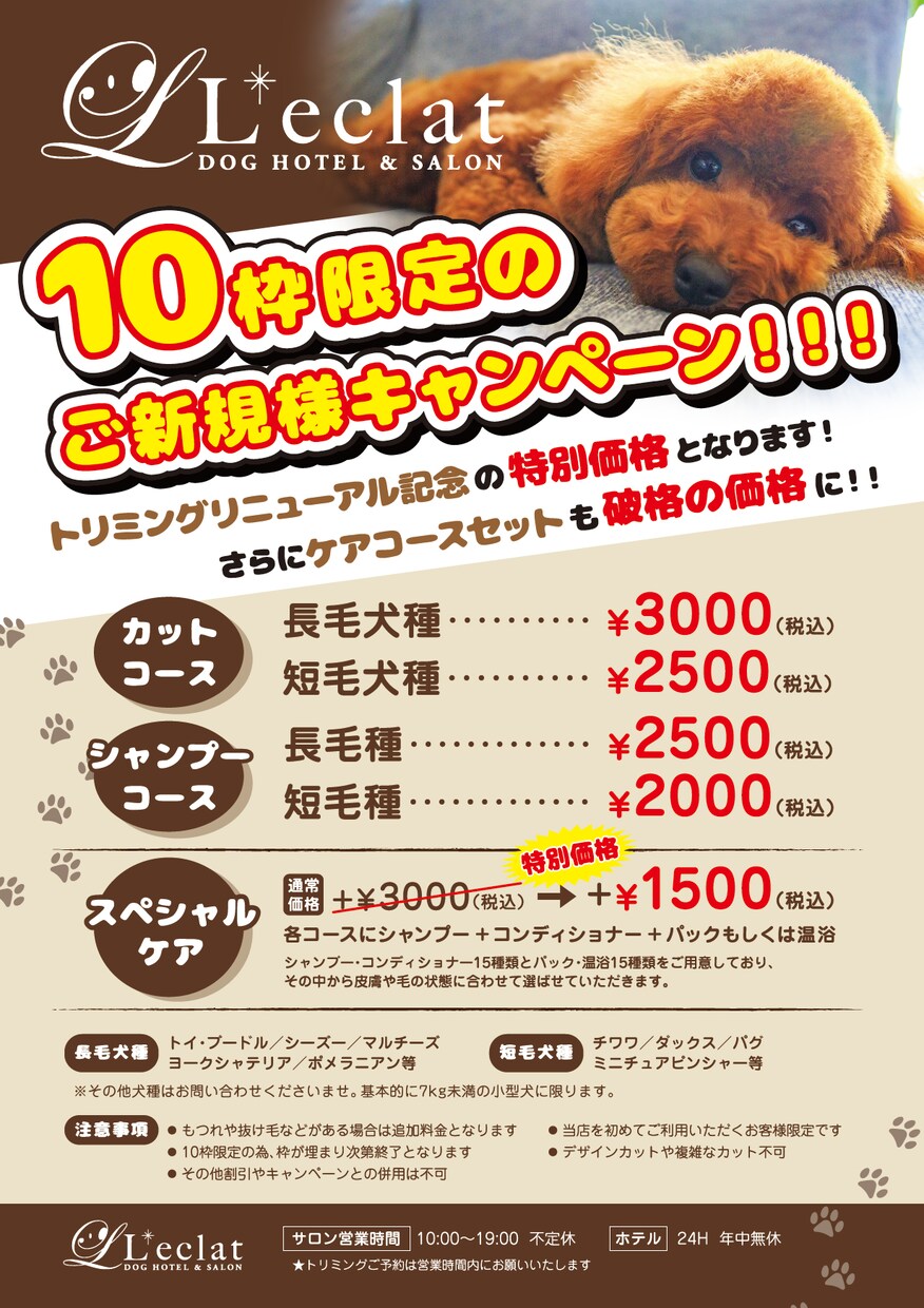 シンプルなPOPを安くご提供いたします 簡単なものをリーズナブルに作ってほしい！という方必見！ イメージ10