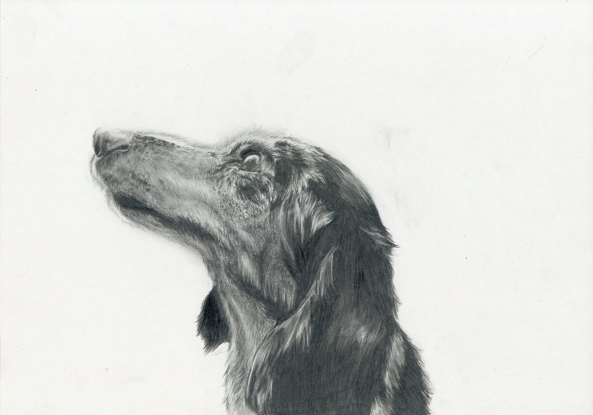あなたの思い出を御描きします あなたの思い出や写真、ペットを御描きします。 イメージ7