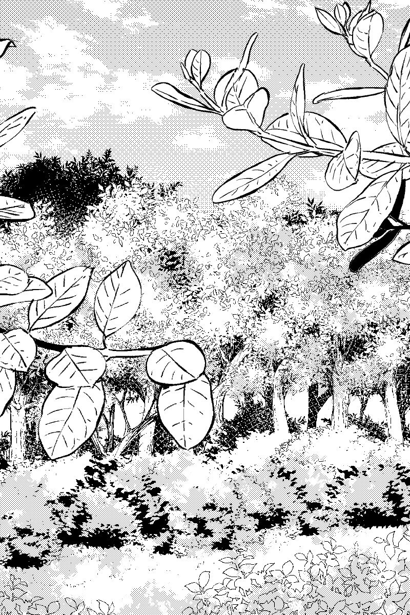 商業・同人OK。漫画・イラスト制作承ります 商用・個人利用OK。漫画制作やイラスト作画に対応します。 イメージ4