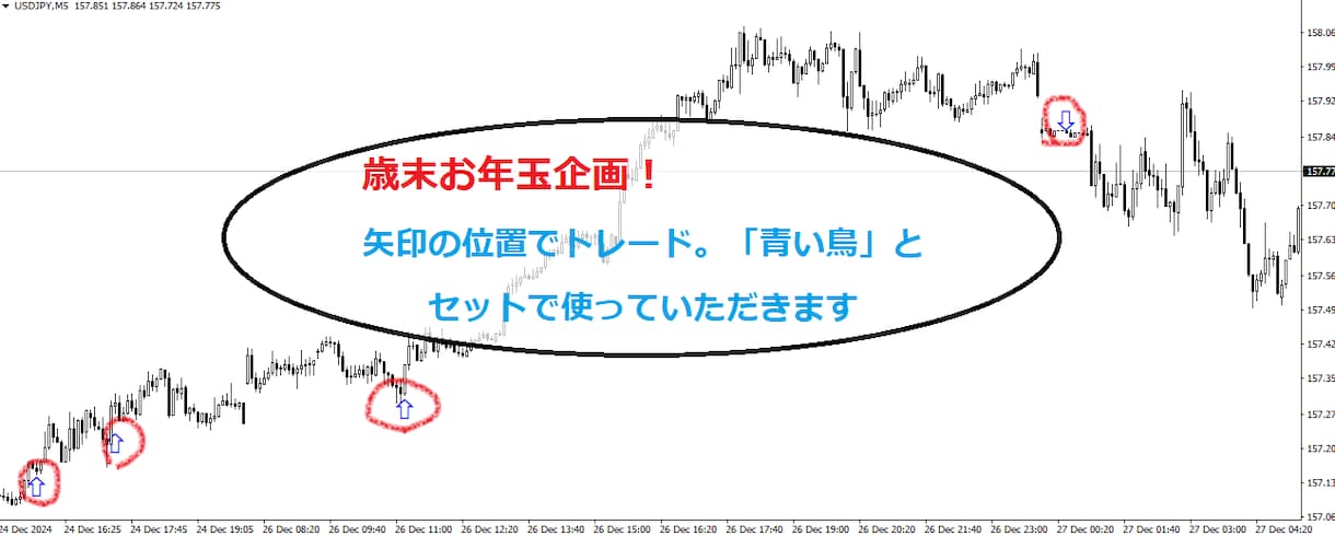 私達が増やしているR:R1：2の「青い鳥」使えます 皆の結果に差異無！値動きの流れに追随出来る道具をお渡しします イメージ3