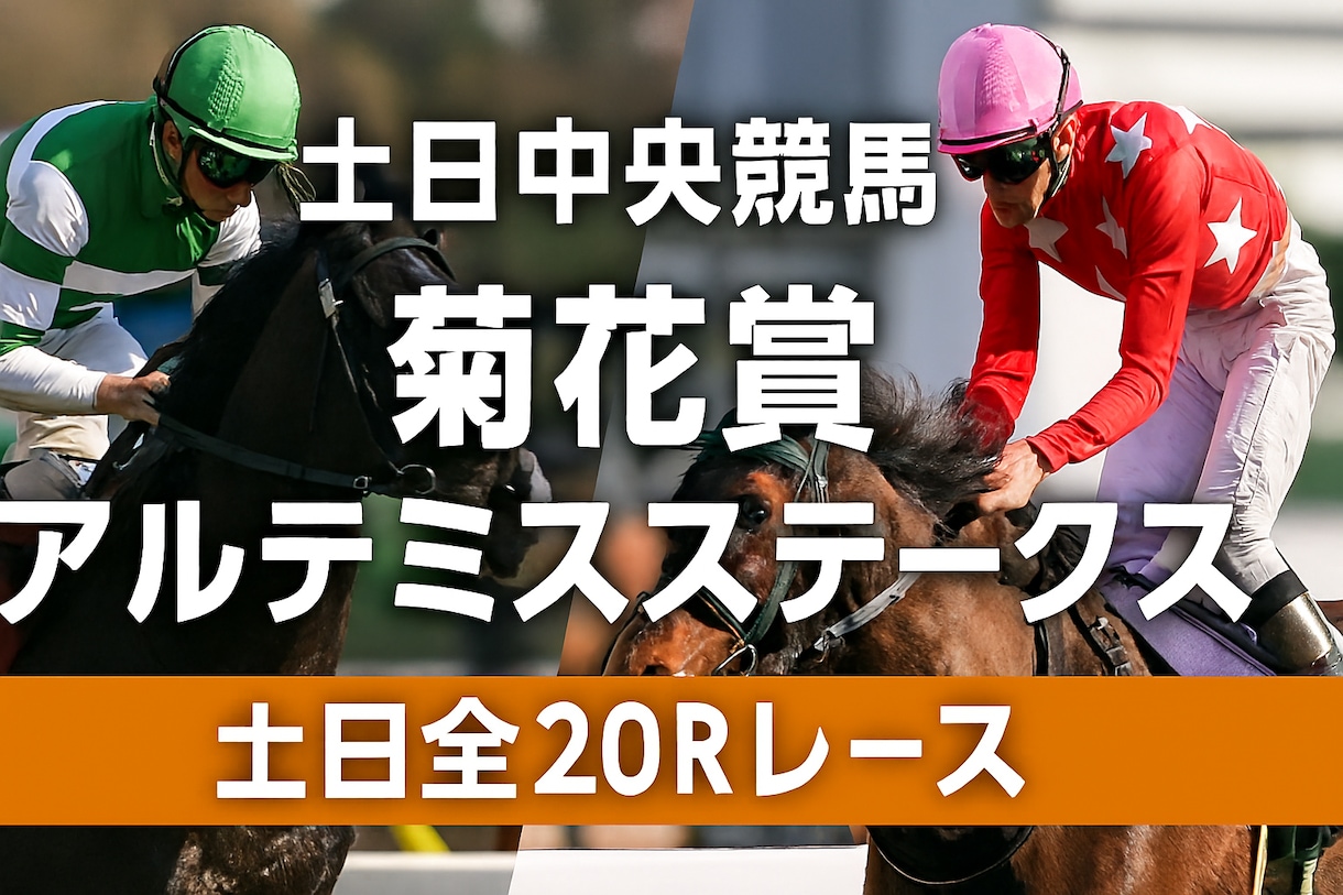 いよいよ菊花賞！土日２０レース予想します 土日中央競馬特別戦から重賞レース完全予想！ イメージ1