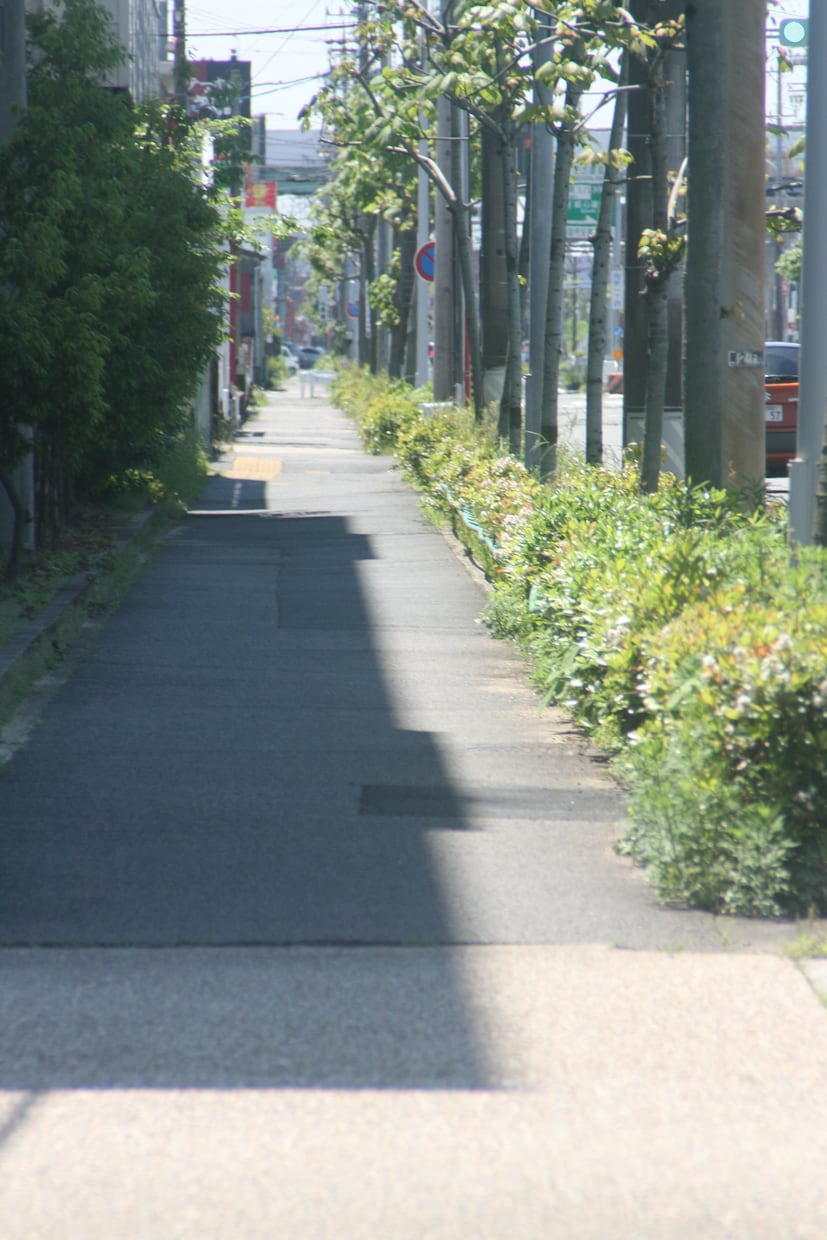 背景や広告に！商用OKな風景写真素材を提供します ブログ・SNS・動画背景に！商用利用可能の風景写真をお届け！ イメージ4