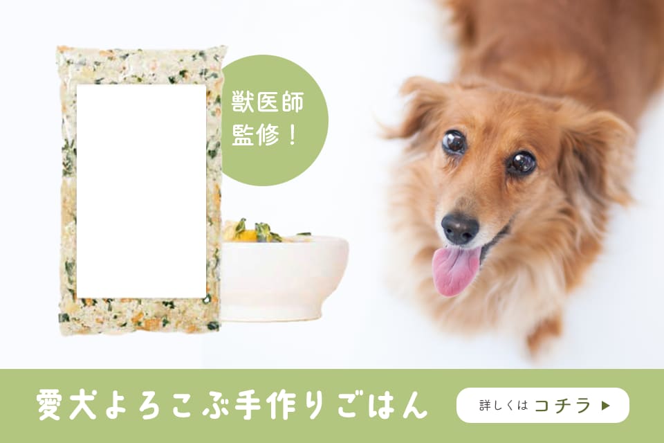 高品質！低価格！WEB用画像制作します ◆バナー・ヘッダー・アイコン・サムネイル…全サイズ同一料金！ イメージ2