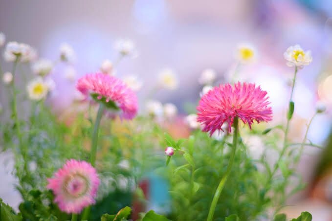 悩み、愚痴など何でも話し相手になります モヤモヤ、イライラ、誰に言えば良いかわからないそんなあなた！ イメージ1