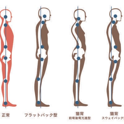 週2回、2ヶ月、小顔になれるアドバイス行います 東京都内で多くの芸能人を見た実績あり！国家資格持ちの為安心！ イメージ3