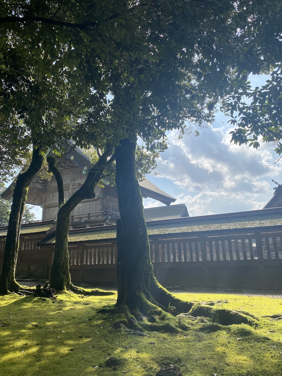 東洋医学と算命学を用いて鑑定します あなたの体質や使命などを分析し、自己分析のお手伝いをします イメージ1