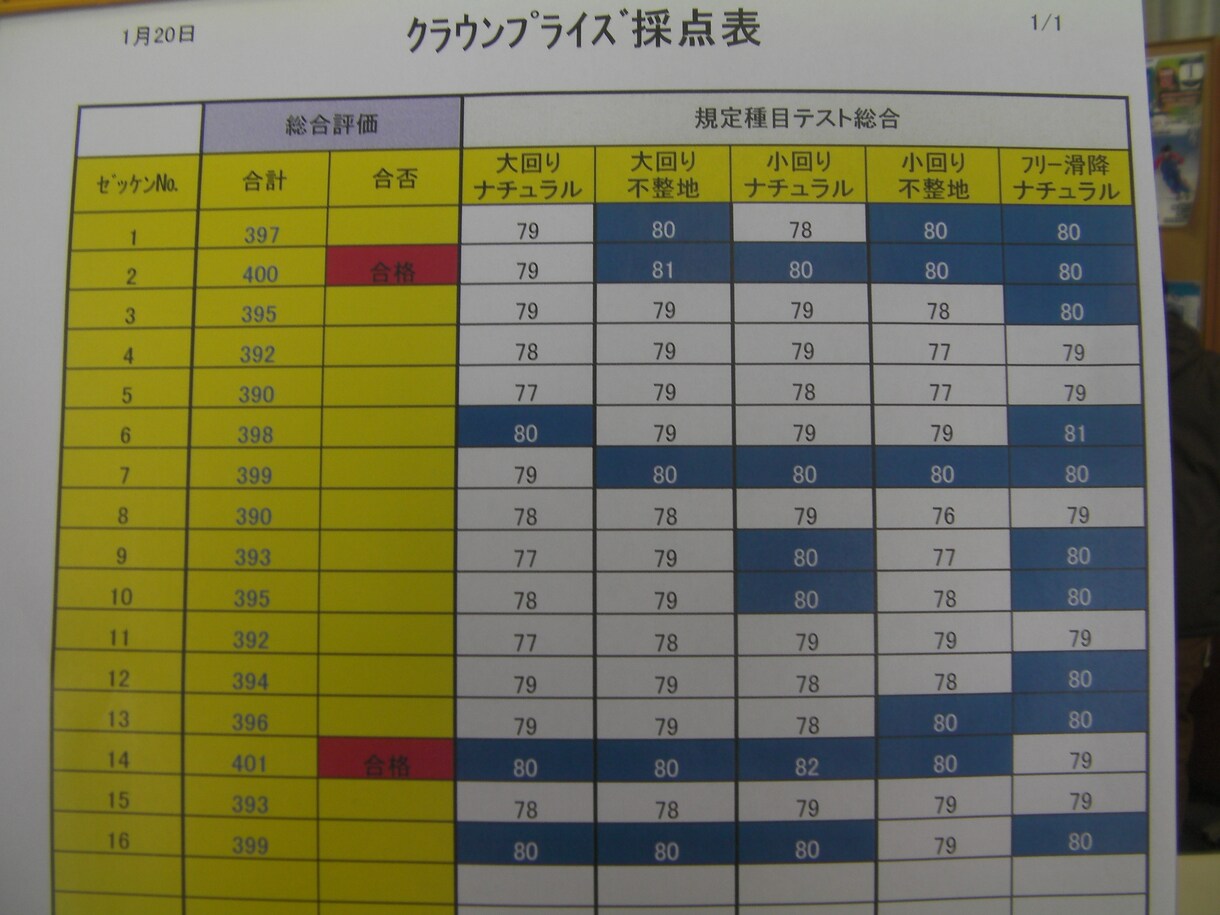 SAJスキー検定他の資格取得のアドバイスをします SAJスキ-検定及び、白馬八方尾根達人検定の動画アドバイス イメージ1
