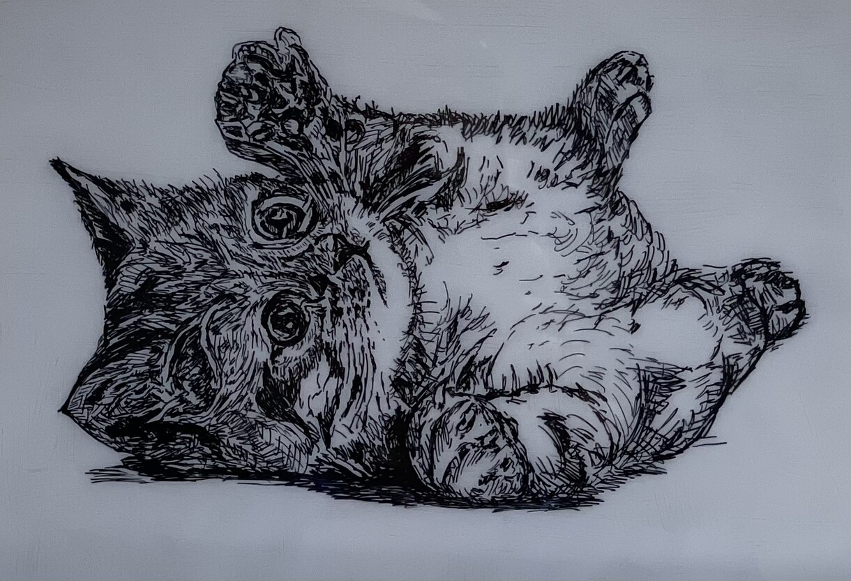 あなたのペットの写真からイラストを描きます キャッチーなコピーも併せて提供させて頂きます。 イメージ5