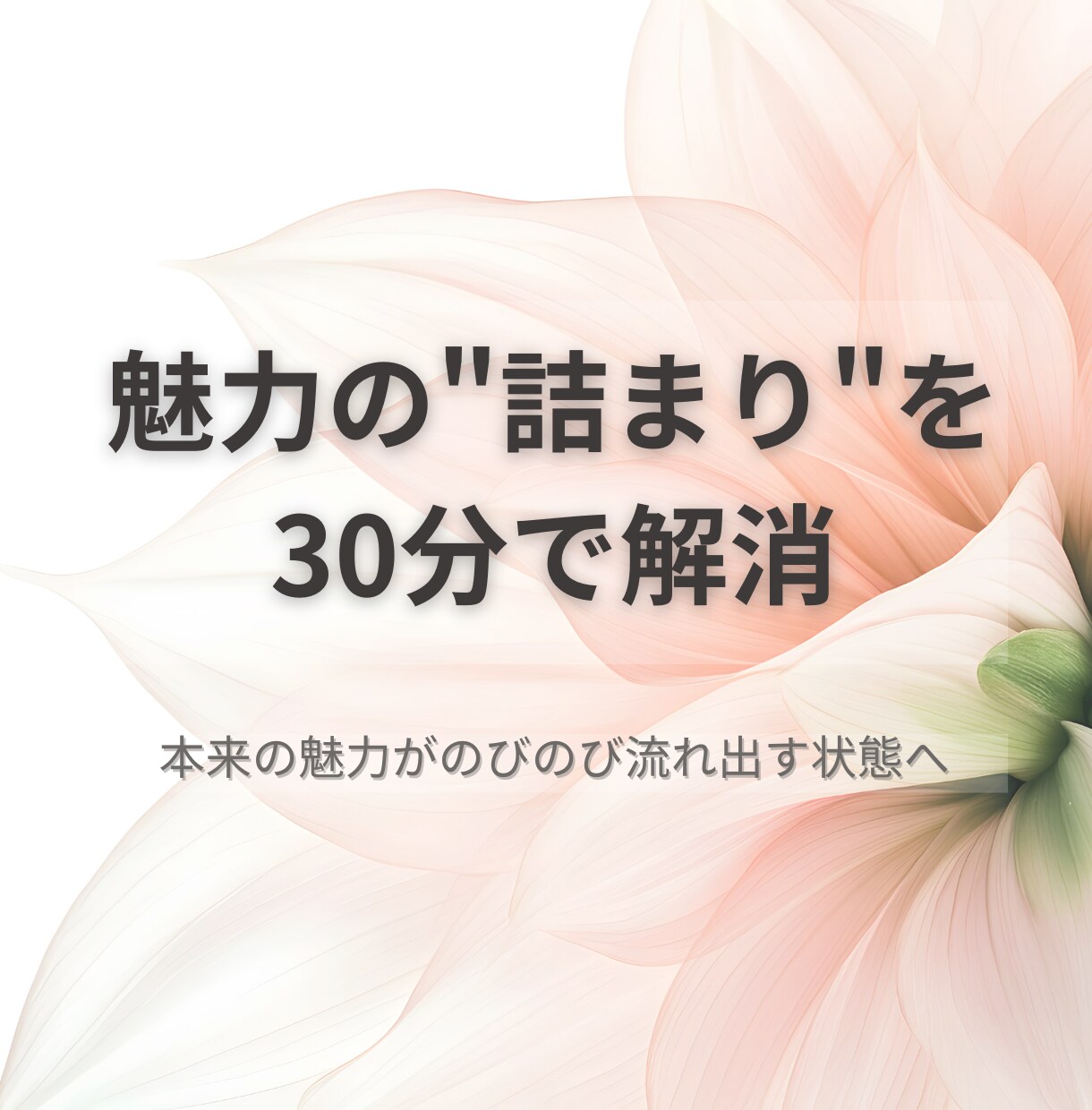 魅力の詰まりを外す30分診断します 魅力を取り戻したい女性のために イメージ1