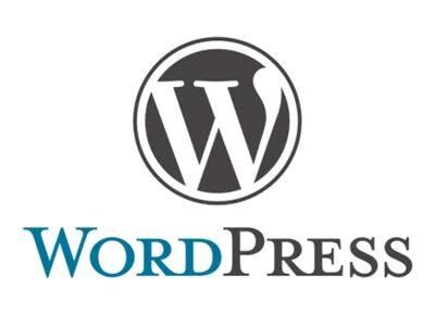 WordPressの不具合を解決します WordPressに関する不具合、不明点は切魂まで！ イメージ1