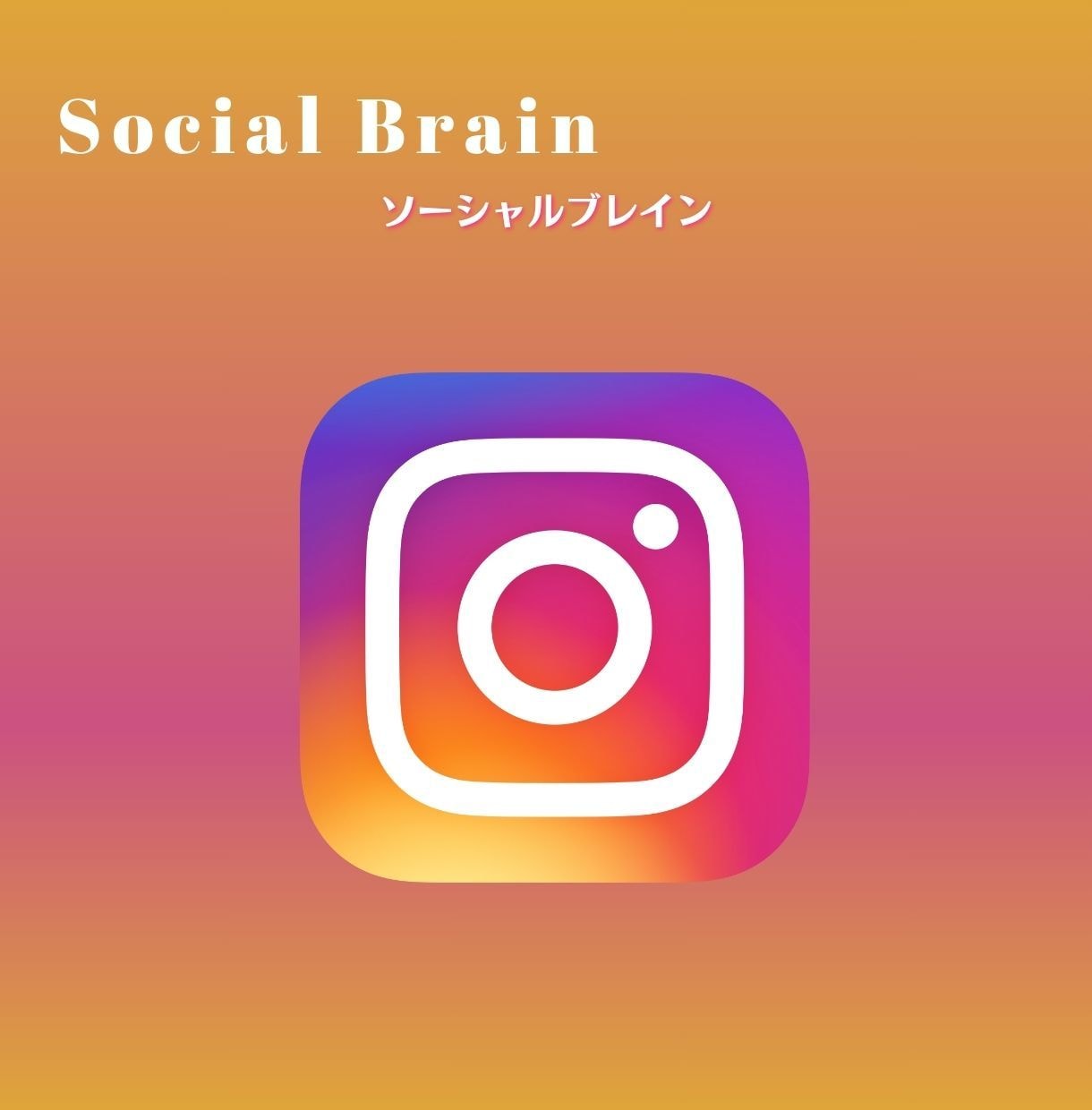 インスタのフォロワー1週間で500人増やします インスタグラム宣伝で500人増目指します イメージ1