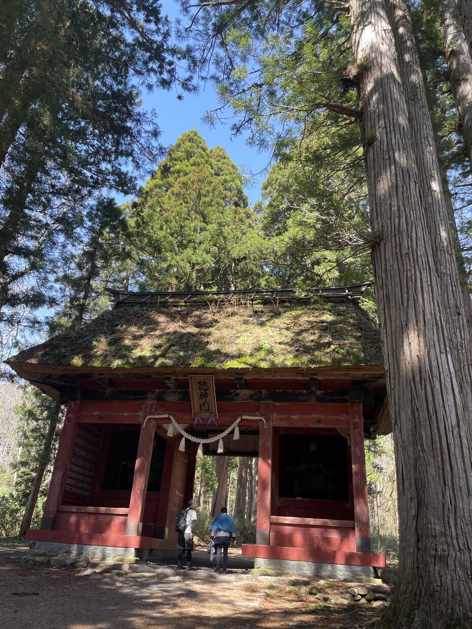 お悩み解決に向けて精一杯鑑定させていただきます 恋愛、人間関係、仕事の流れなど気になることなんでもOKです。 イメージ6