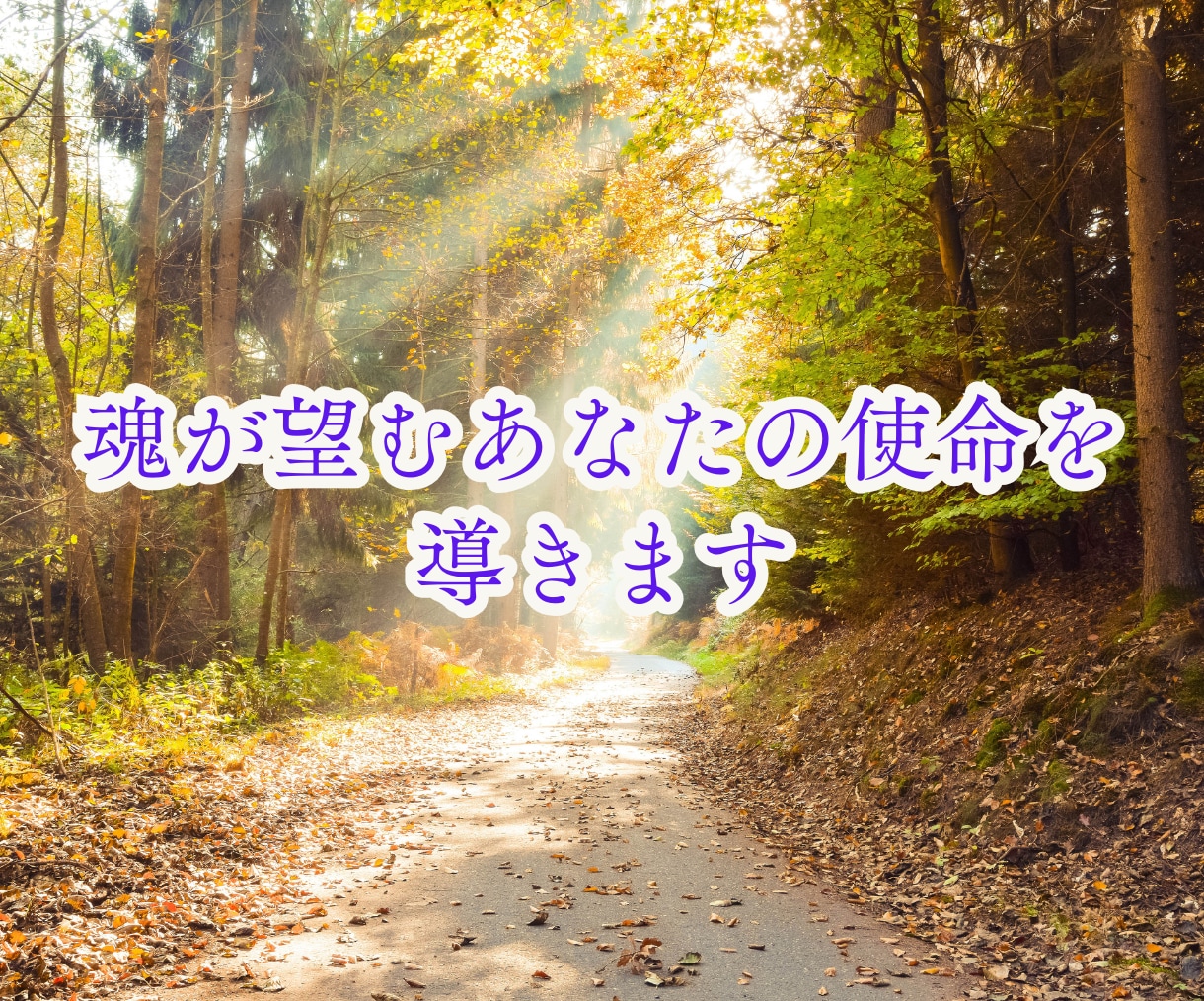 占い師・ヒーラー専用！魂と使命のお悩みを解消します 宿命使命★将来未来★前世★独立開業★迷いを解決します イメージ6