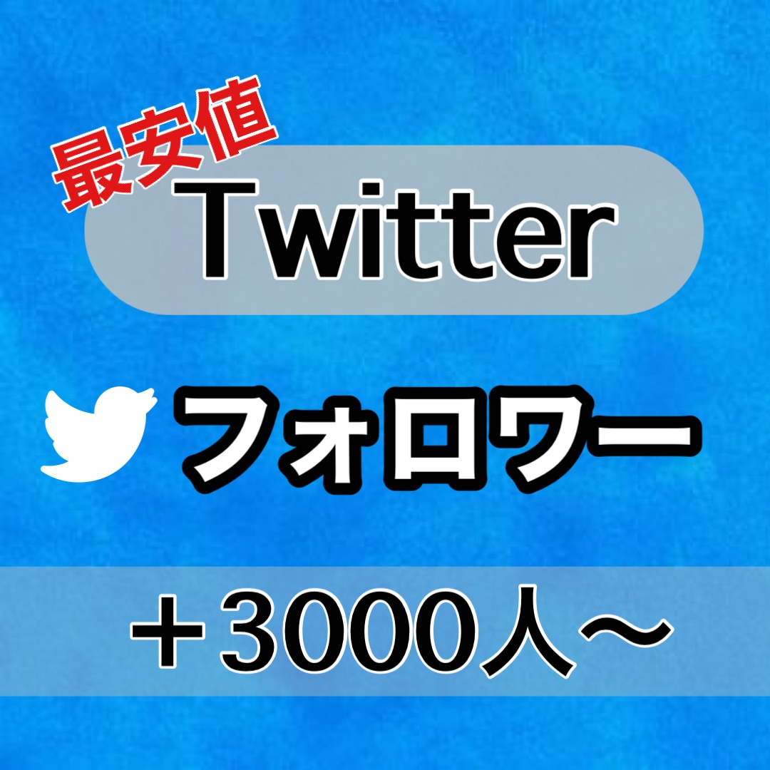 最安値Twitterフォロワー3000人増やします 最短即日納品も可能！！30日間の補償あり！