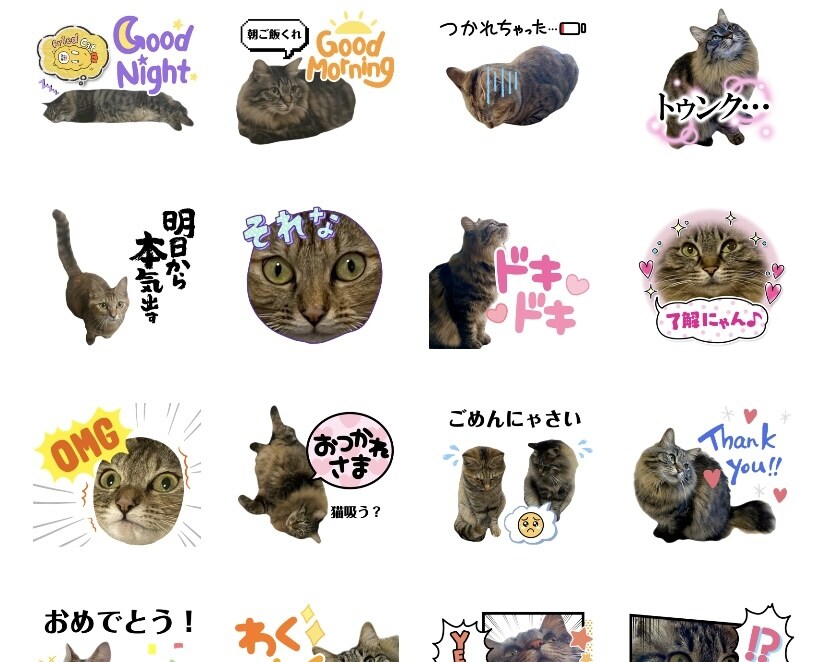 あなたの大切なペットのLINEスタンプを作ります 可愛くて使いやすいLINEスタンプを作ります！ イメージ4