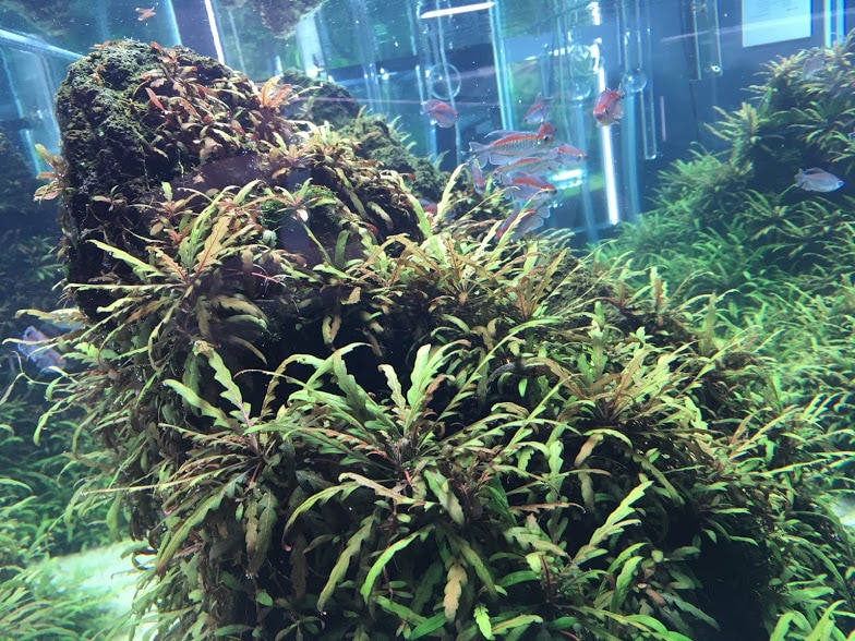 ５往復★誰にも言えないお気持ちお聴きします 気軽な気持ちで、心に抱えた荷物をおろしてみませんか イメージ1