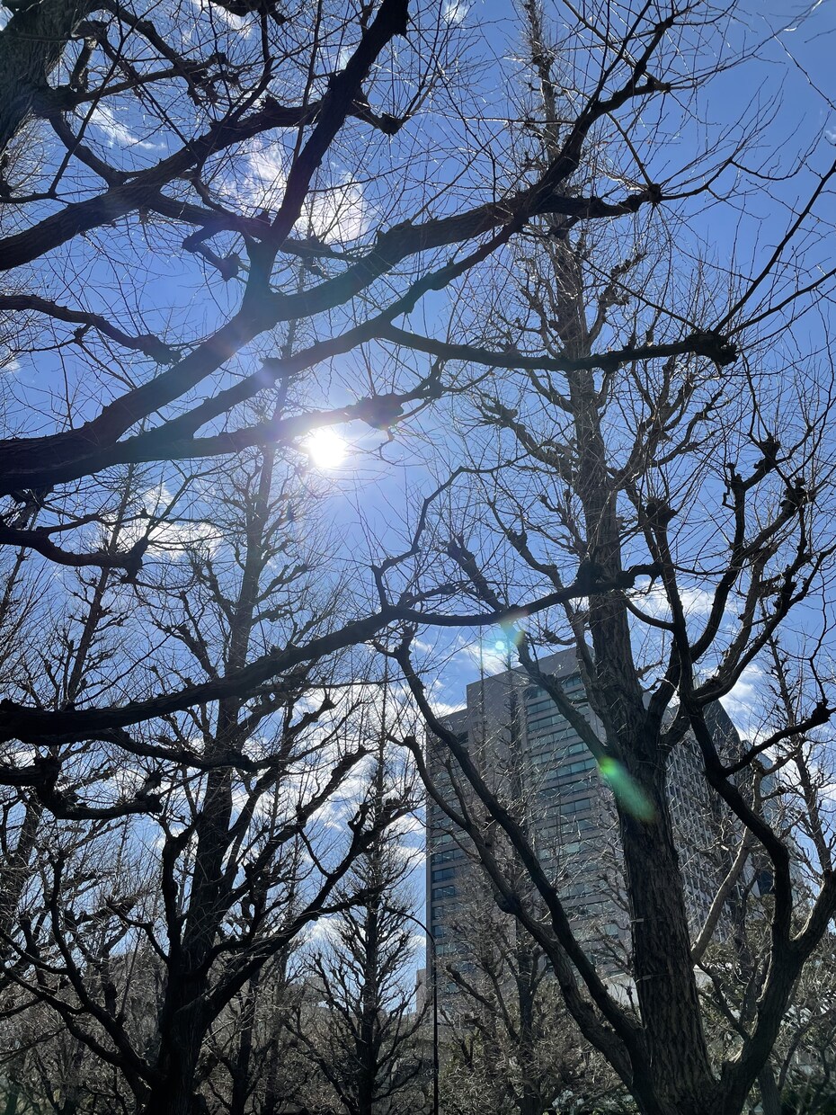 介護のお困りことを解決します 認知症介護をやり続けてきた介護福祉士が相談にのります イメージ1
