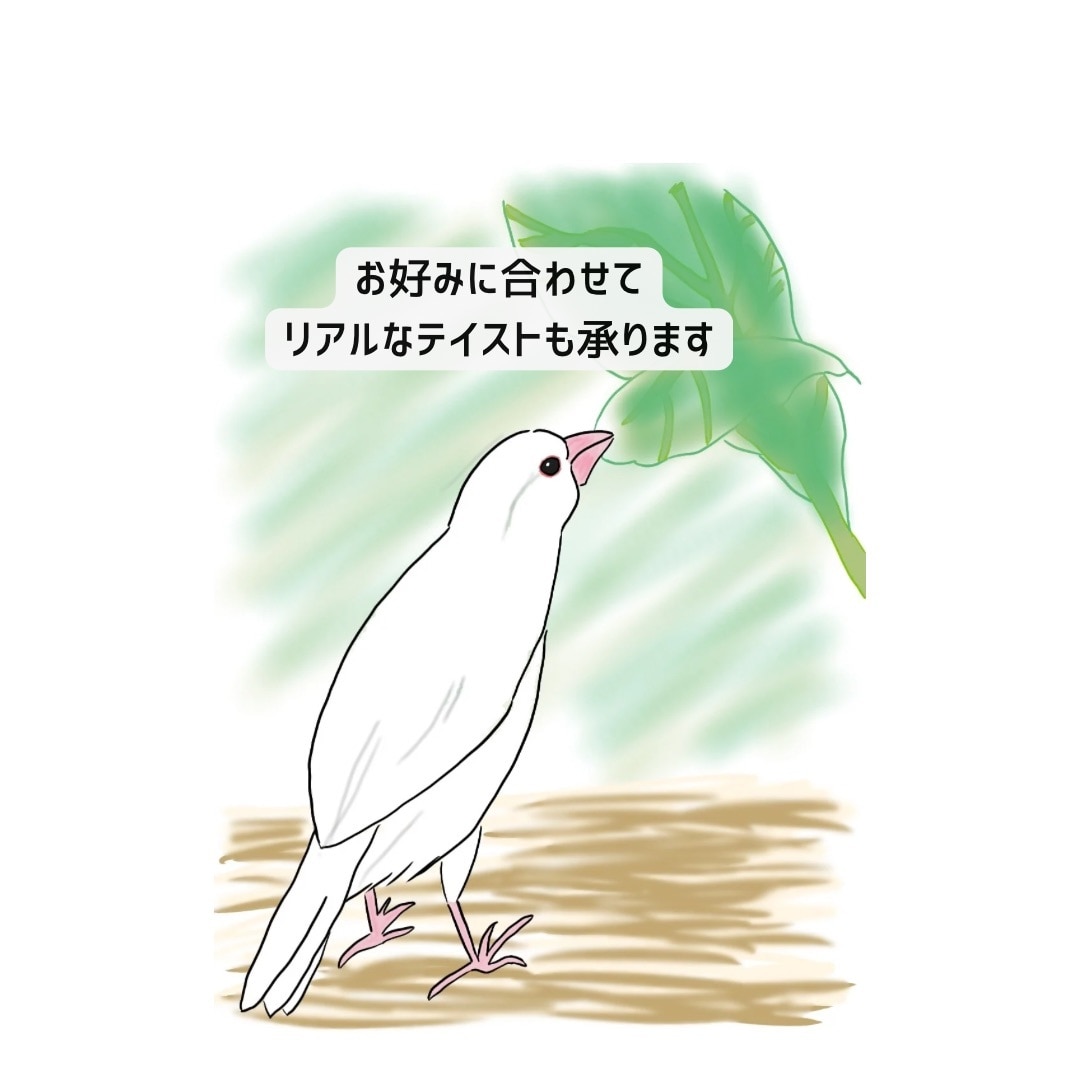文鳥のオリジナルイラスト描きます 文鳥オタクの飼い主さん、ご家族、ご友人へのプレゼントに最適 イメージ5