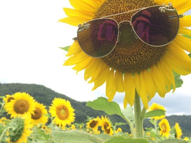30代女性からの電話待ってます さみしいときは電話くださいね 待ってますね イメージ1
