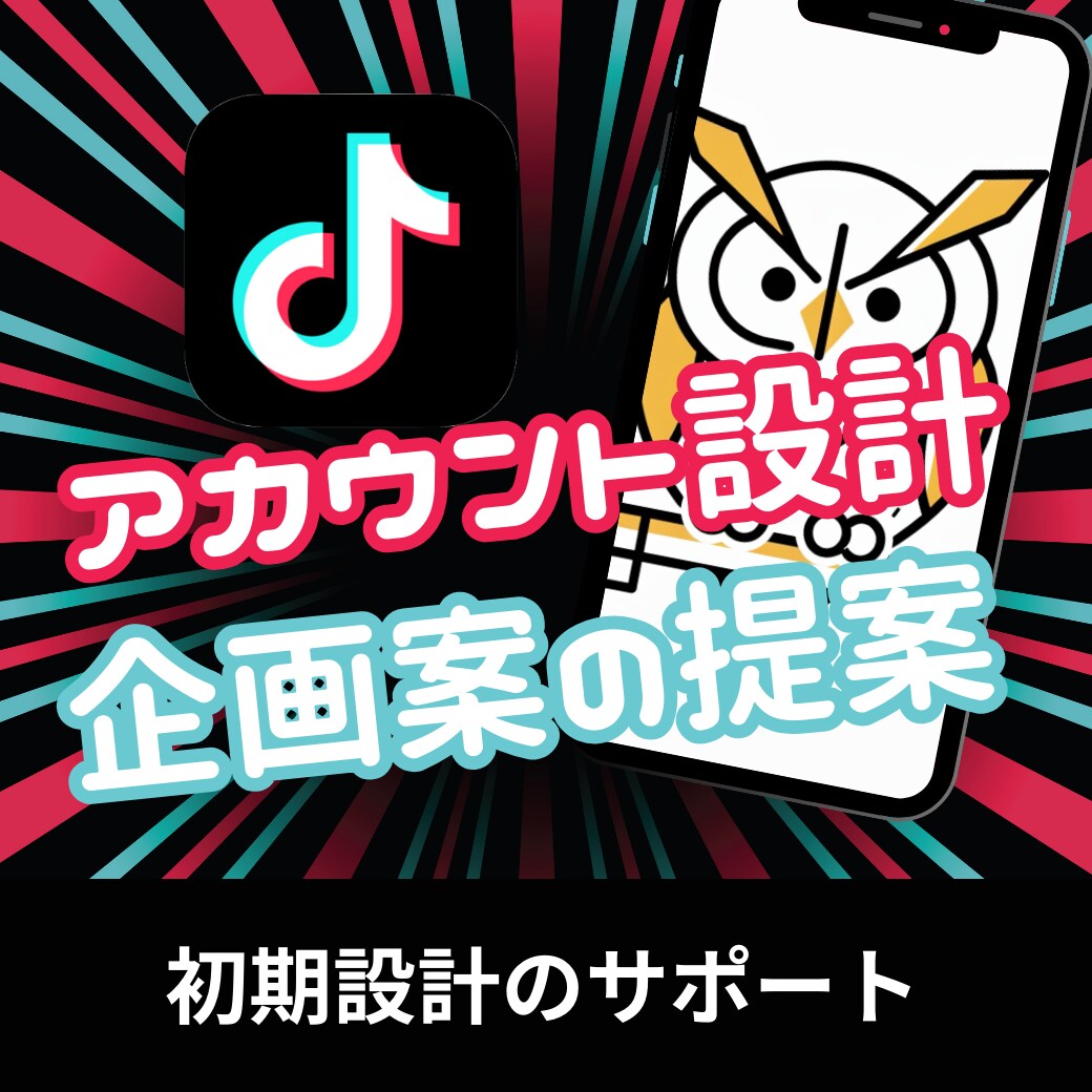 TikTokのコンセプト設計と動画企画を提案します プロの運用代行者がTikTok運用をサポートします。 イメージ1