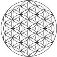 日々の人間関係に疲れたお心を癒します 誰かに聞いて欲しい些細な事柄でも構いません。お聞かせ下さい。 イメージ1