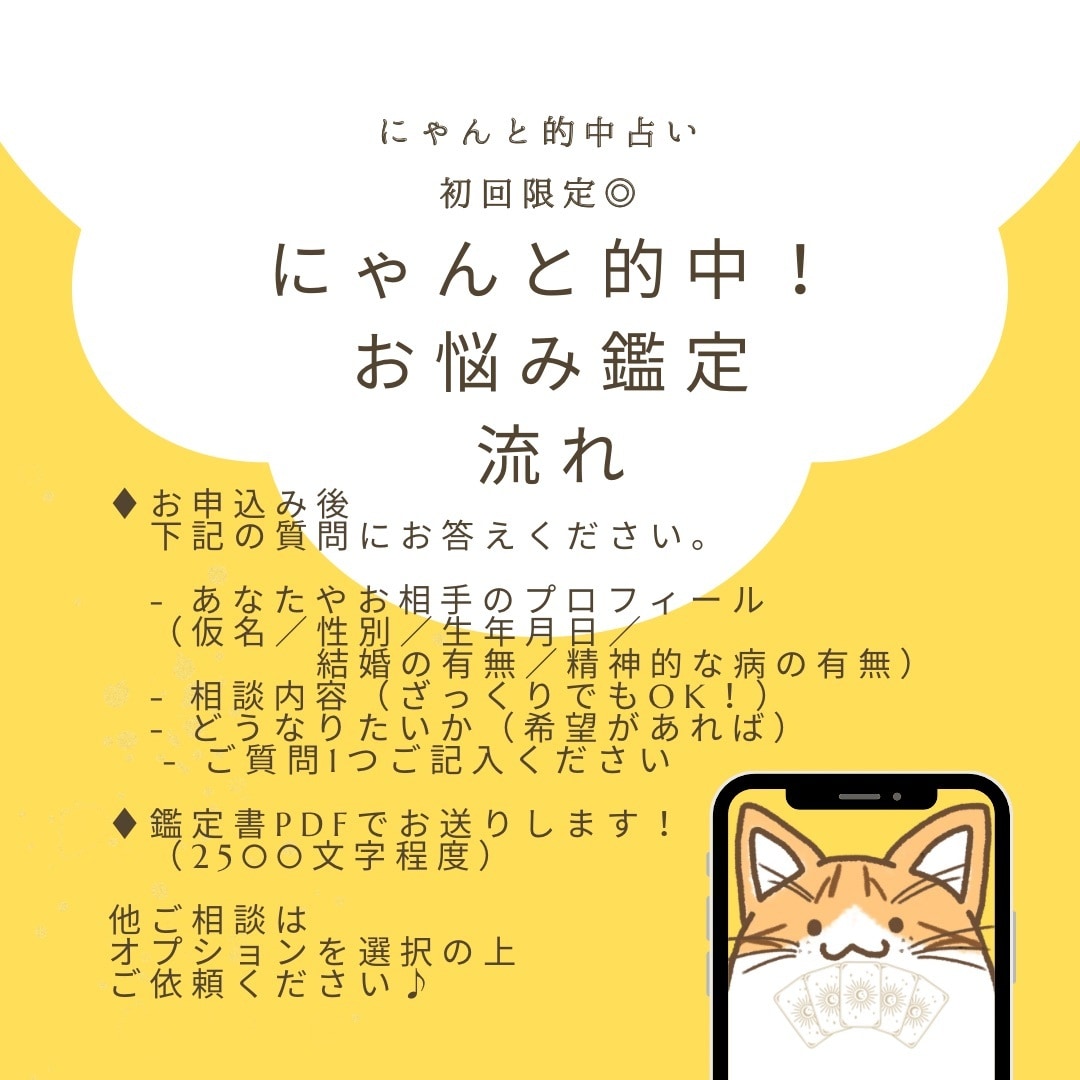 初回限定◎にゃんと的中！お悩み鑑定いたします 総実績100名さま限定！本音と現実を整え次の一歩を後押し⭐︎ イメージ5
