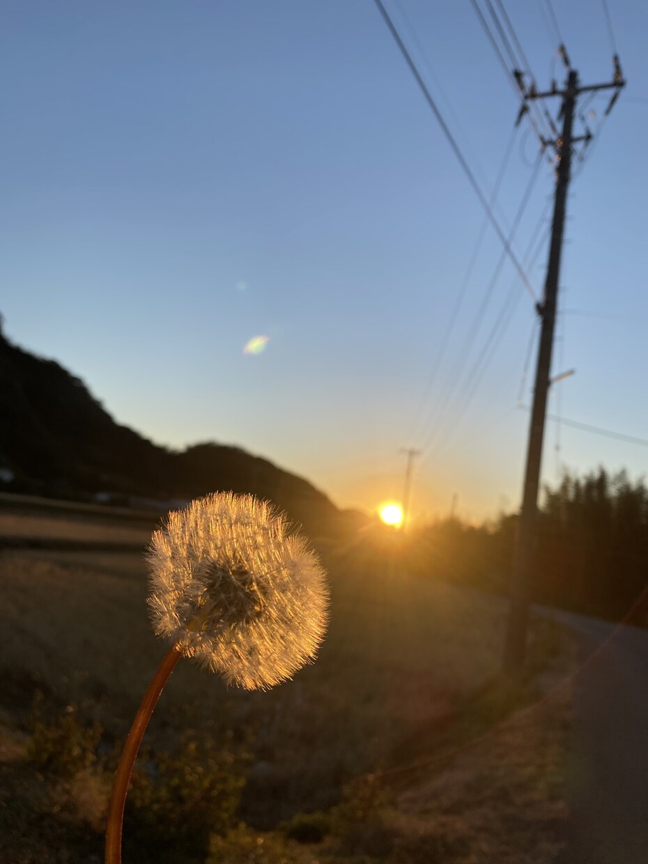 普段撮れないような景色写真を提供します 全てiPhoneで撮らせて頂いています。 イメージ9