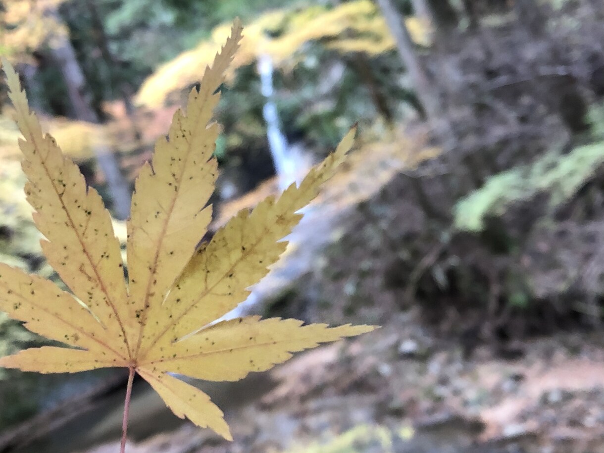 あなたの愚痴、悩みなんでも聞きます 誰でもいいから話を聞いて欲しいと思ってる人に向けて イメージ1