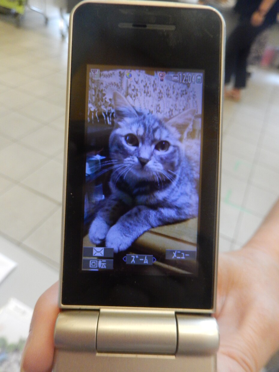 愛する家族であるペットの似顔絵作成させて頂きます 写真データを聞き取り元にあなたのペットを描かせて頂きます イメージ7