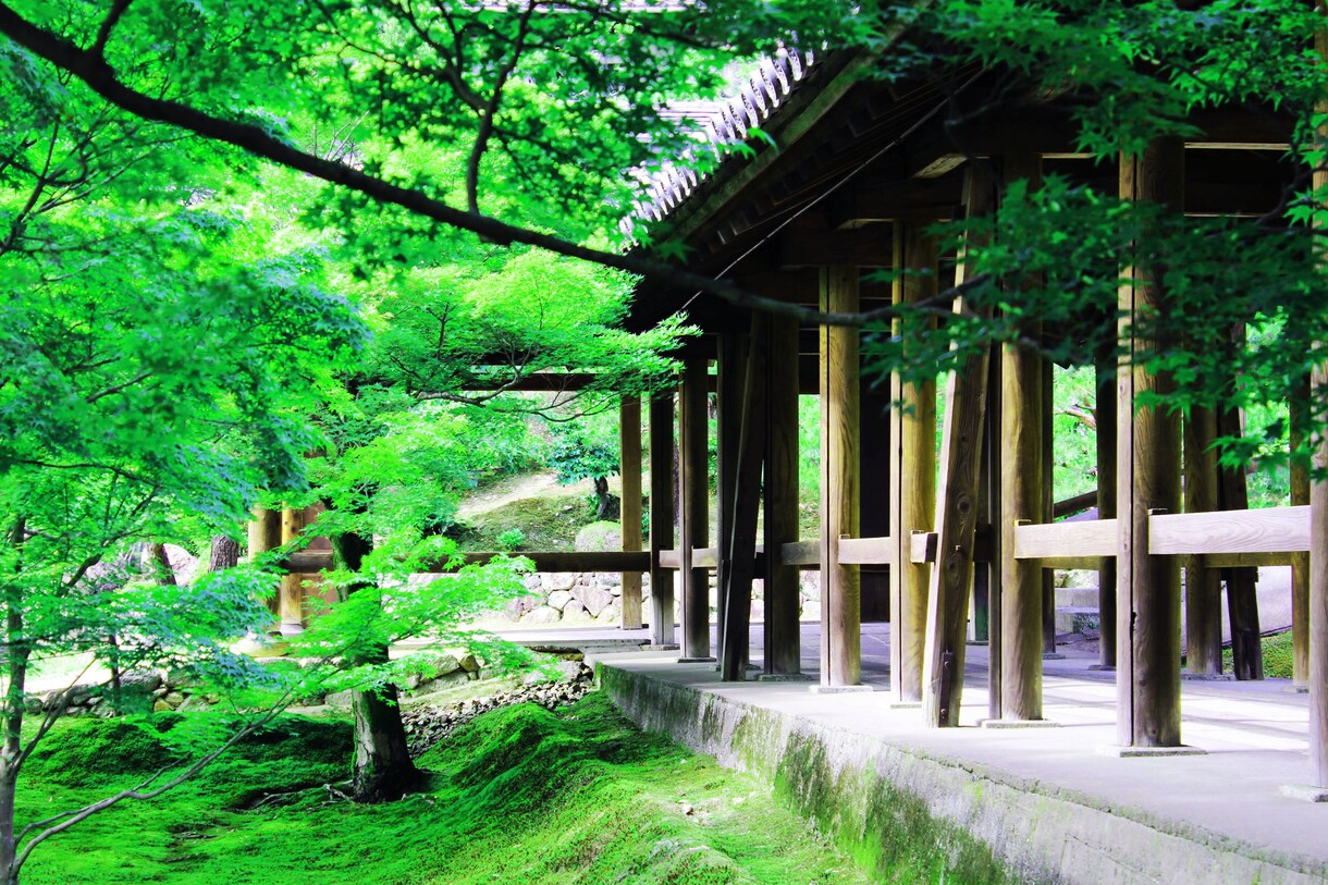 写真や動画の編集をし、お届けします 何気ない今、この瞬間をあなたに。 イメージ10